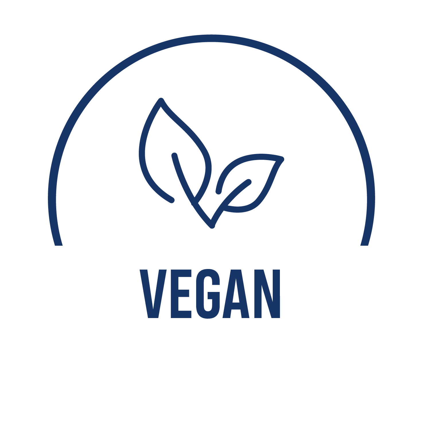 Vegansk